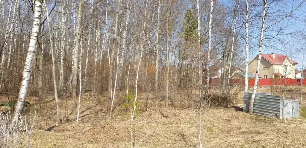 Участок 15 сот. (ИЖС) - Фото 1
