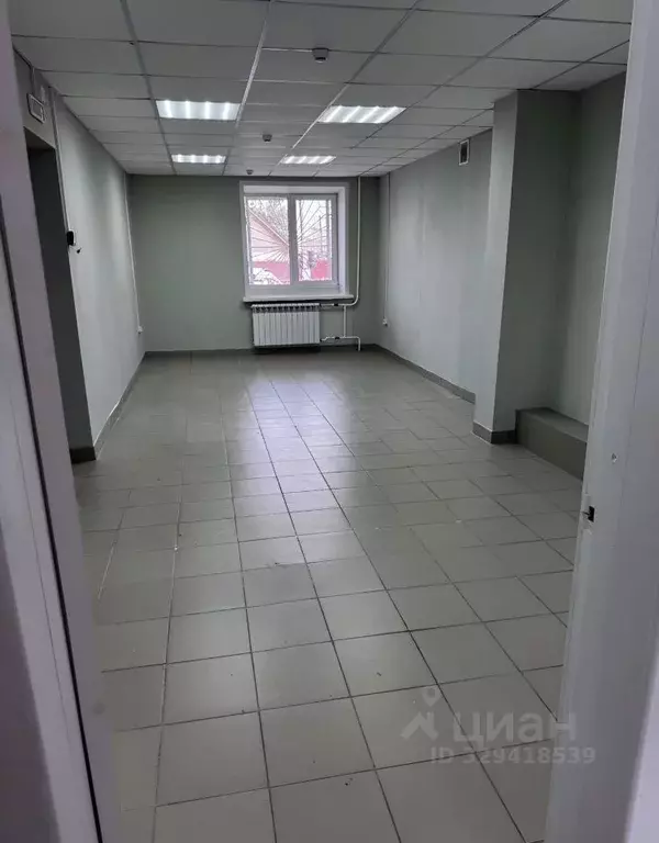 Офис в Новосибирская область, Бердск ул. Павлова, 10 (49 м) - Фото 1