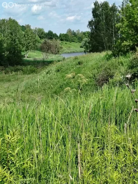 Участок в Тульская область, городской округ Тула, посёлок Петелино (20 ... - Фото 0