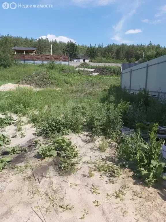 Участок в Ульяновск, СНТ Залив-2 (9.1 м) - Фото 2