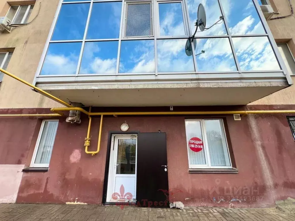 Помещение свободного назначения в Белгородская область, Белгород ул. ... - Фото 2