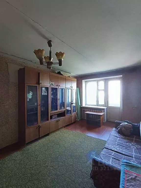 1-к кв. Еврейская автономная область, Биробиджан Парковая ул., 8 (33.4 ... - Фото 1