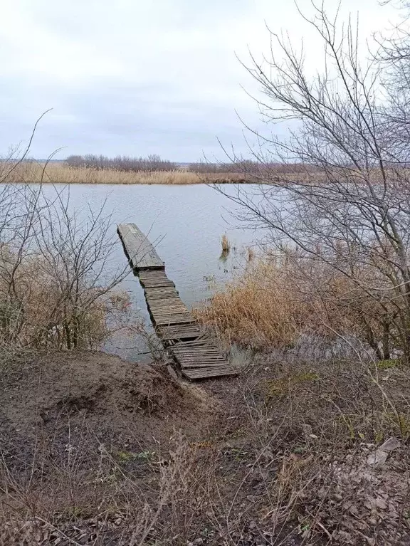 Участок в Ростовская область, Семикаракорский район, Кузнецовка хут. ... - Фото 1