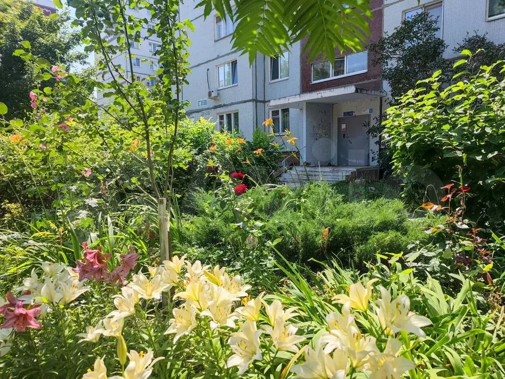 3-к. квартира, 64 м, 5/9 эт. - Фото 0