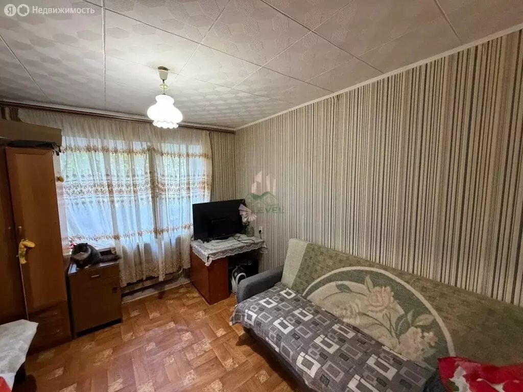 1-комнатная квартира: Энгельс, улица Колотилова, 62 (20.5 м) - Фото 1