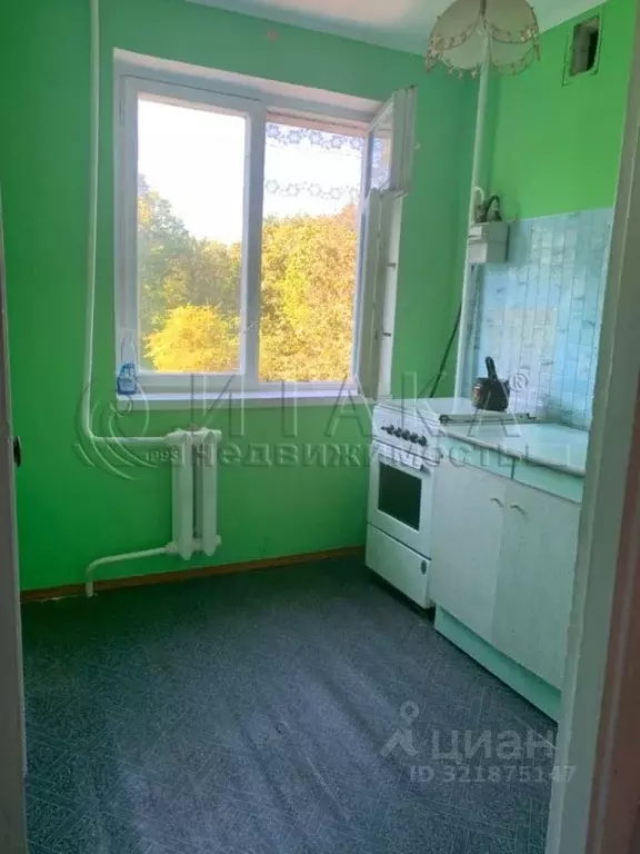 2-к кв. Ленинградская область, Волосовский район, Большеврудское ... - Фото 1