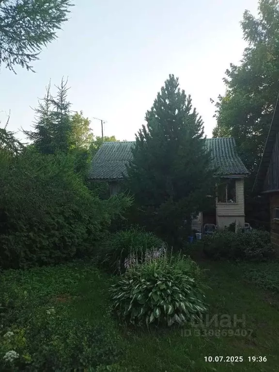 Дом в Новгородская область, Окуловский муниципальный район, Турбинное ... - Фото 1