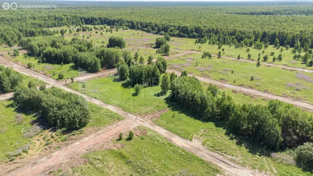 Участок в Тюменская область, Нижнетавдинский муниципальный округ, СНТ ... - Фото 2