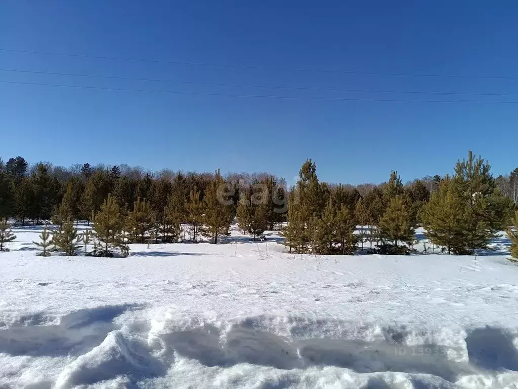 Участок в Тюменская область, Нижнетавдинский район, д. Красный Яр  ... - Фото 1