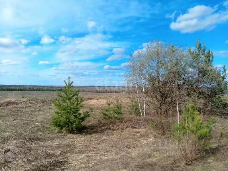 Участок в Нижегородская область, Богородский муниципальный округ, д. ... - Фото 0