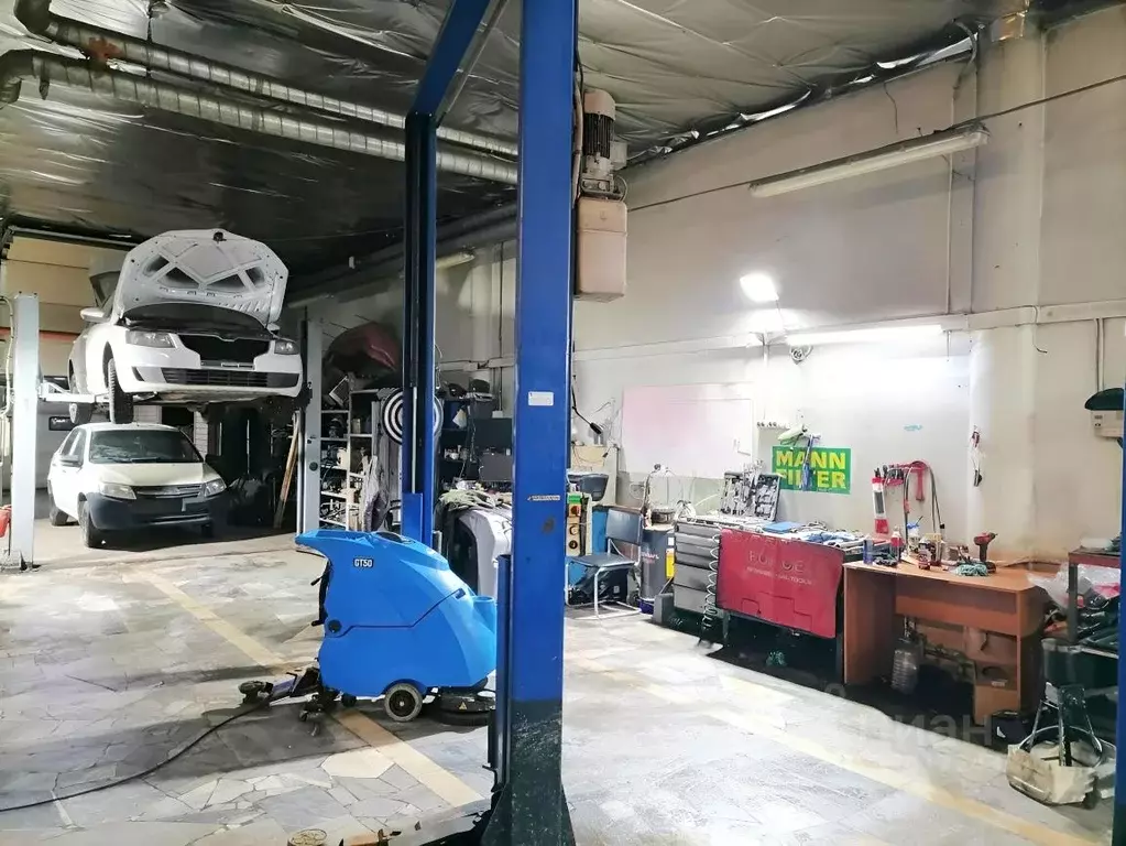 Помещение свободного назначения в Самарская область, Тольятти ... - Фото 0