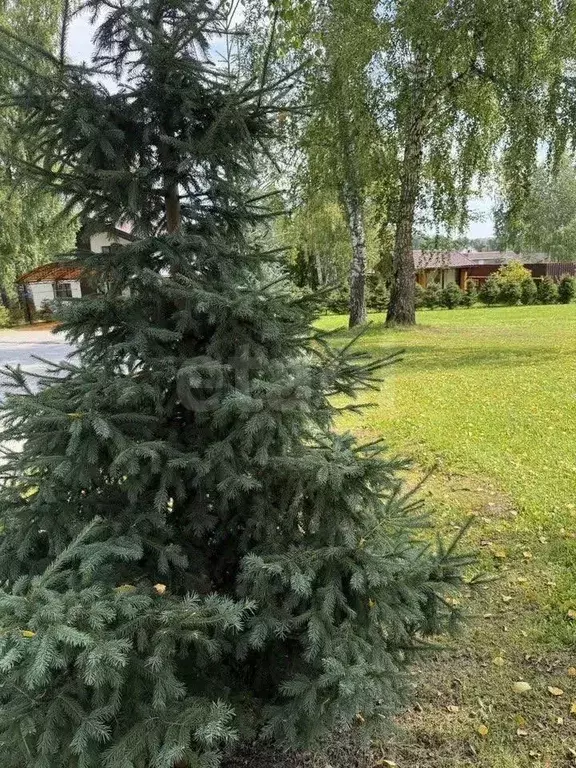 Участок в Новосибирская область, Новосибирский район, Барышевский ... - Фото 1