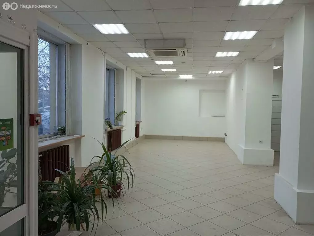 Помещение свободного назначения (109.9 м) - Фото 1