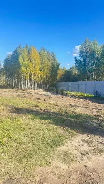 Участок в Тюменская область, Тюмень Садовое товарищество Липовый ... - Фото 2