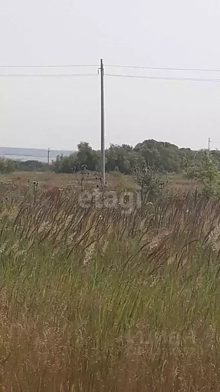 Участок в Ульяновская область, Ульяновск городской округ, с. Луговое ... - Фото 1