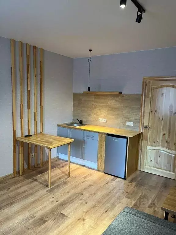 Студия Новосибирская область, Новосибирск Фабричная ул., 65 (21.3 м) - Фото 2