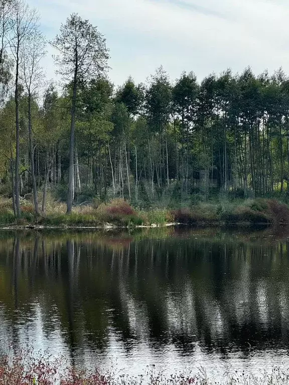 Участок 60 сот. (СНТ, ДНП) - Фото 1