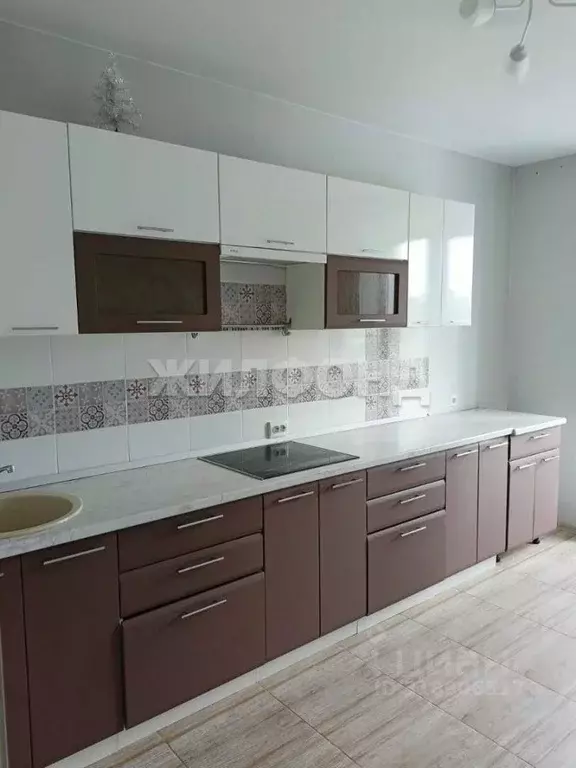 1-к кв. Новосибирская область, Новосибирск ул. Виктора Шевелева, 38/1 ... - Фото 1