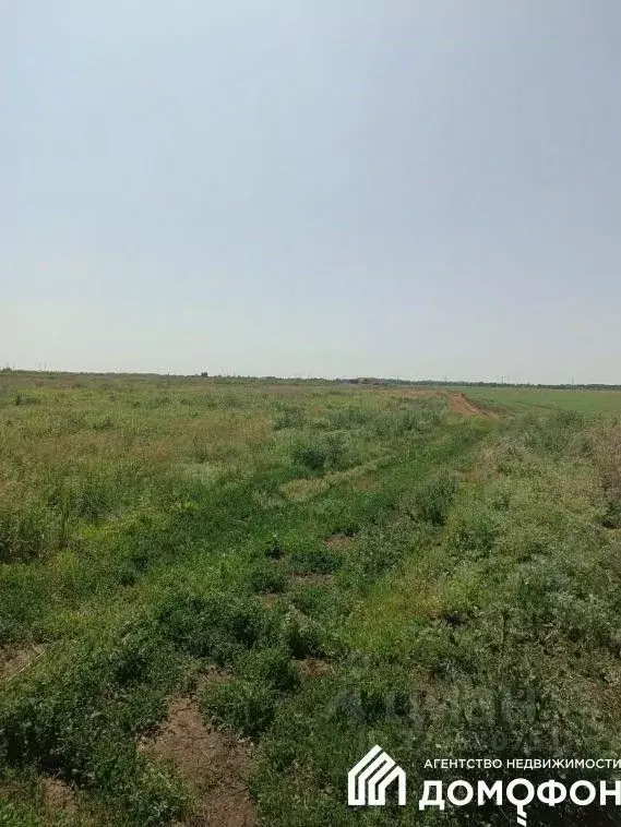 Участок в Омская область, Омский район, с. Дружино, Микрорайон ... - Фото 2