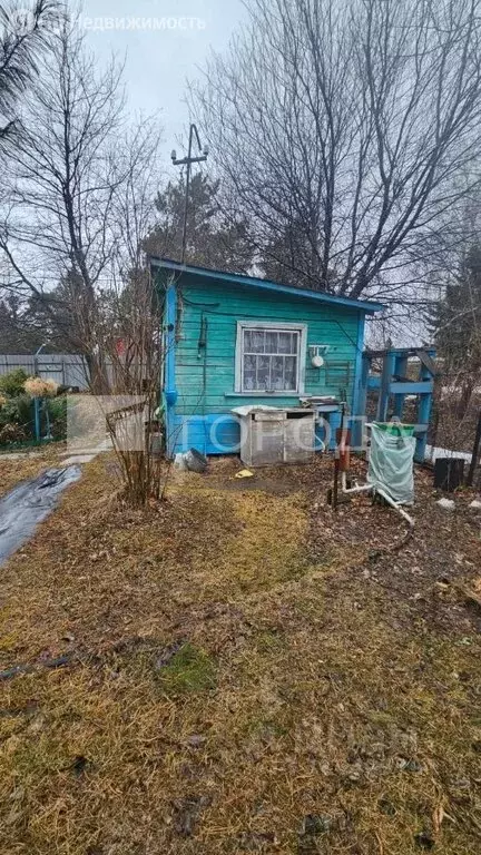 Дом в Колыванский район, СНТ Электрон, Озёрная улица, 12 (42 м) - Фото 1