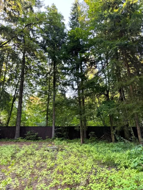 Участок в Московская область, Одинцовский городской округ, пос. ... - Фото 2