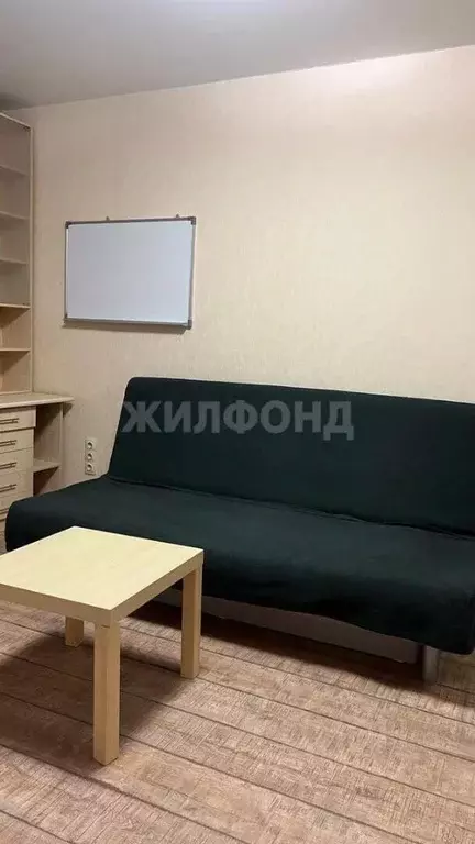 1-к кв. Новосибирская область, Новосибирск Академгородок мкр, ул. ... - Фото 1
