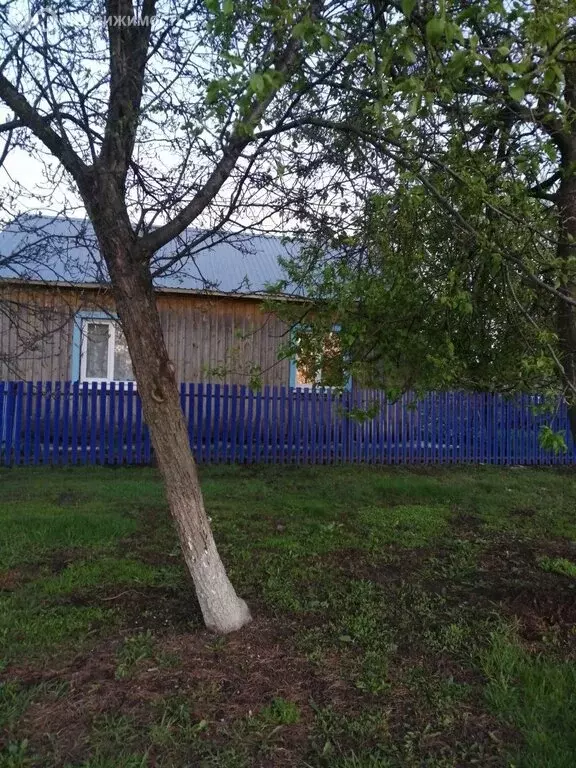 Дом в Павловский район, Александро-Донское сельское поселение, посёлок ... - Фото 2