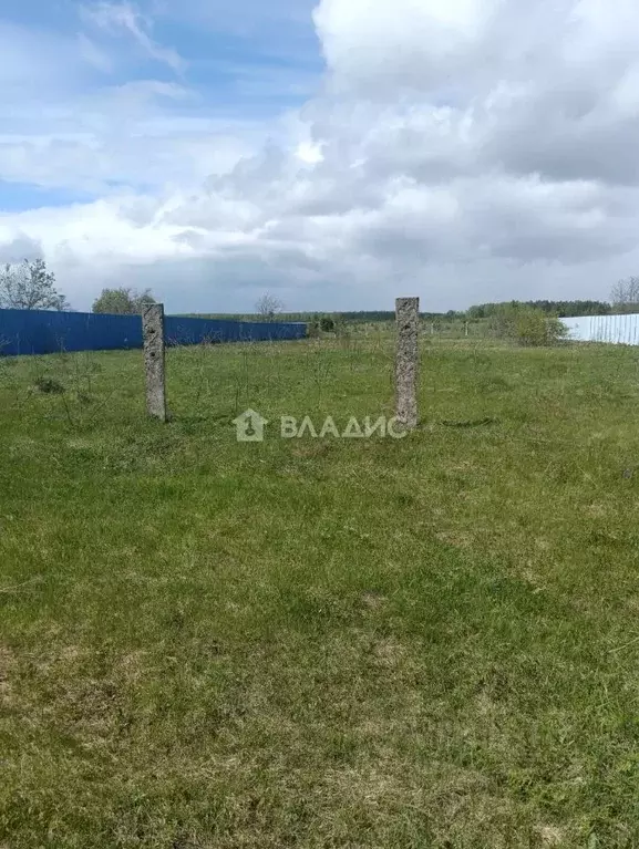 Участок в Владимирская область, Ковровский район, Новосельское с/пос, ... - Фото 1