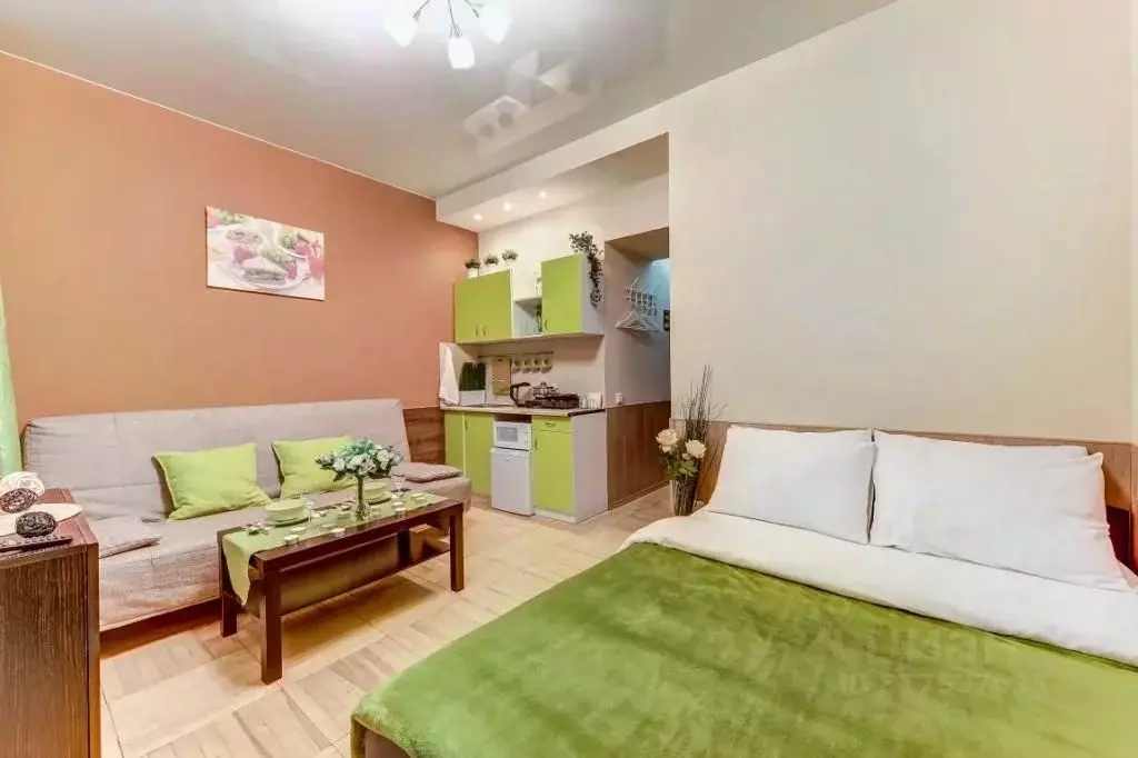1-к кв. Санкт-Петербург Певческий пер., 5 (21.0 м) - Фото 0