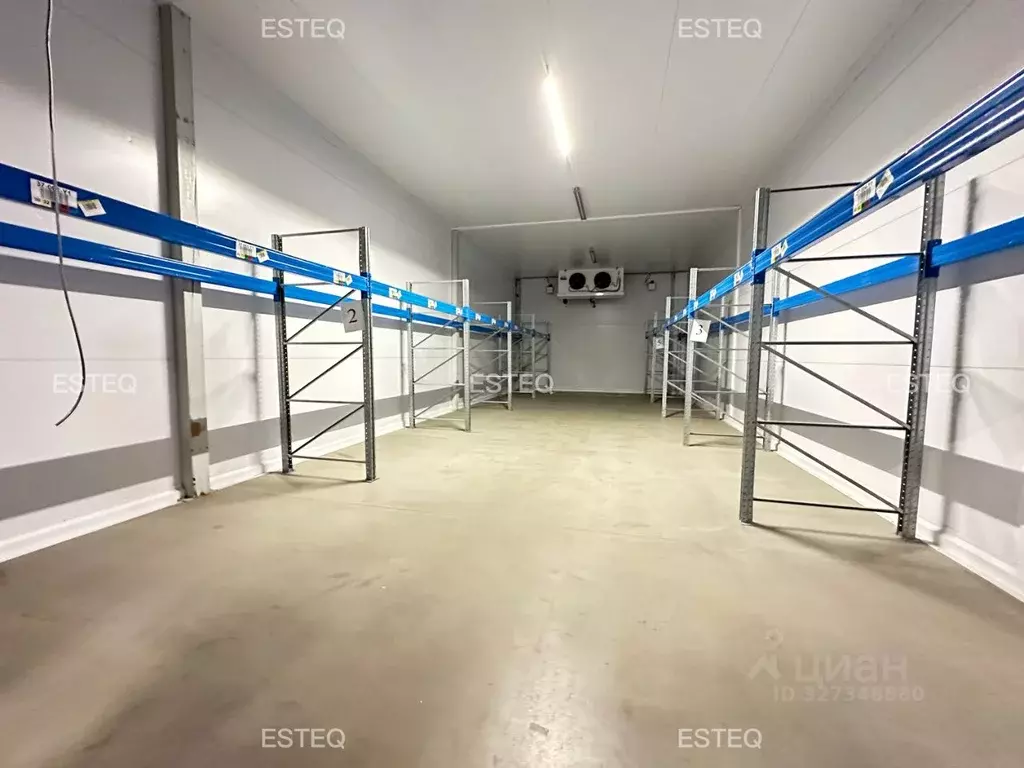 Склад в Новосибирская область, Новосибирский район, с. Толмачево ул. ... - Фото 2