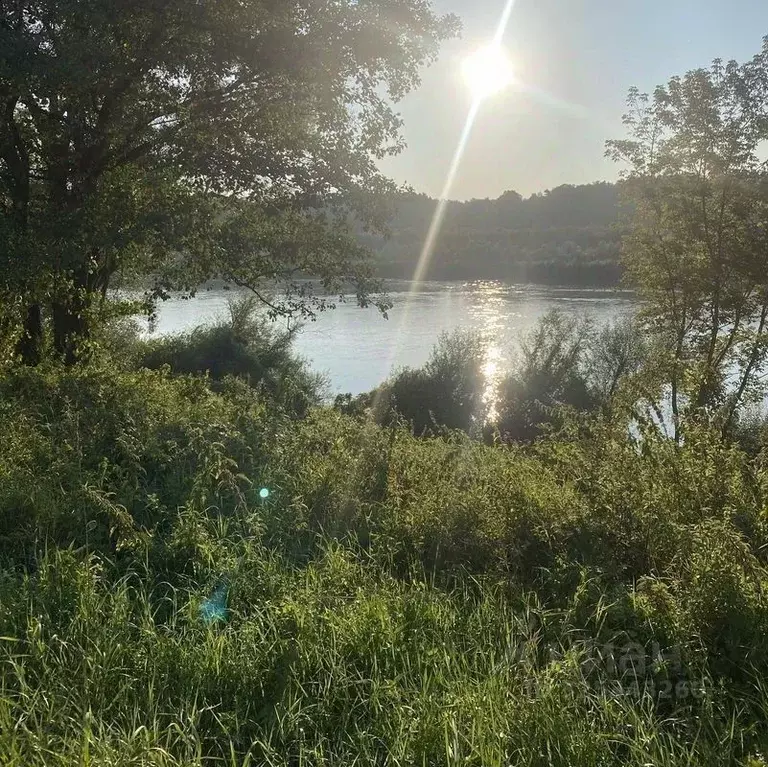 Дом в Московская область, Серпухов городской округ, д. Лужки 12 (50 м) - Фото 2