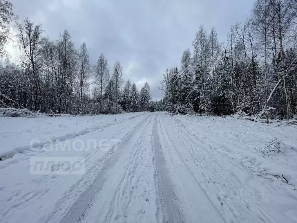 Участок в Московская область, Истра муниципальный округ, д. Ермолино  ... - Фото 0