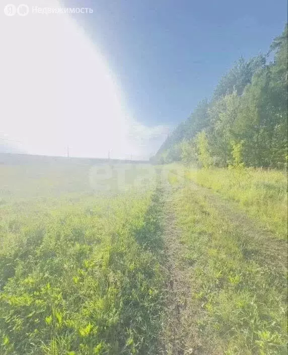 Участок в село Татарская Свербейка, Центральная улица (9 м) - Фото 2