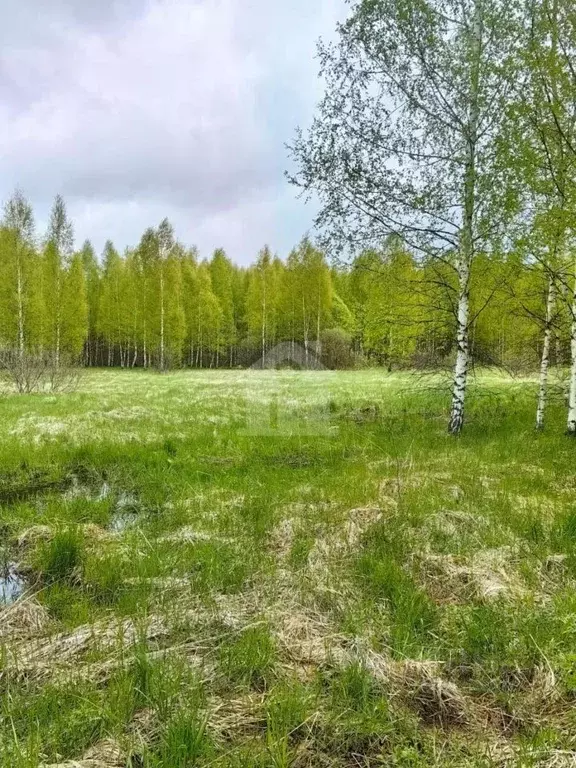 Участок в Ярославская область, Некрасовский муниципальный округ, ... - Фото 0