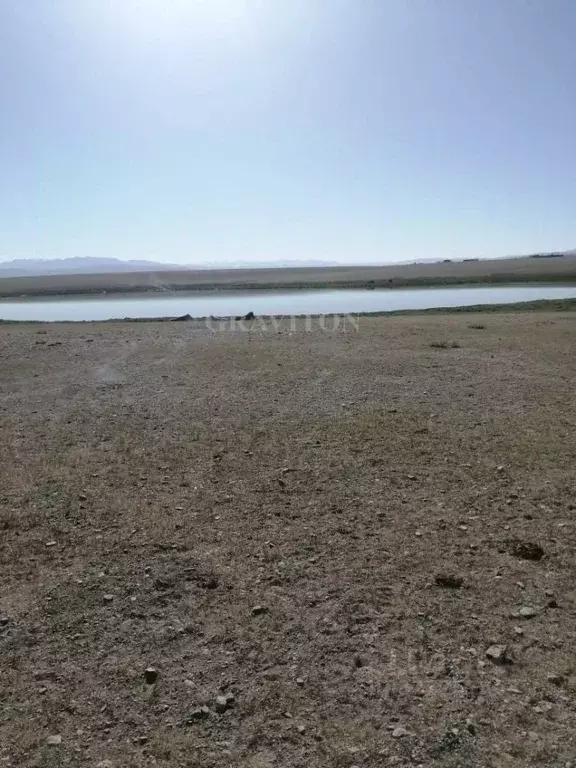 Участок в Алтай, с. Кош-Агач ул. Полевая (13.0 сот.) - Фото 2