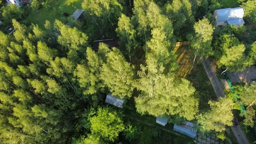 Участок в Московская область, Чехов городской округ, д. Верхнее ... - Фото 1