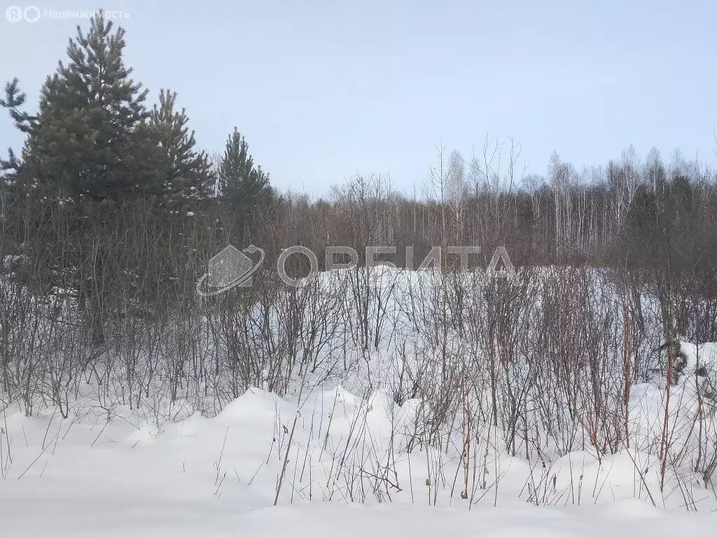 Участок в Свердловская область, Тугулымский муниципальный округ (50 м) - Фото 2
