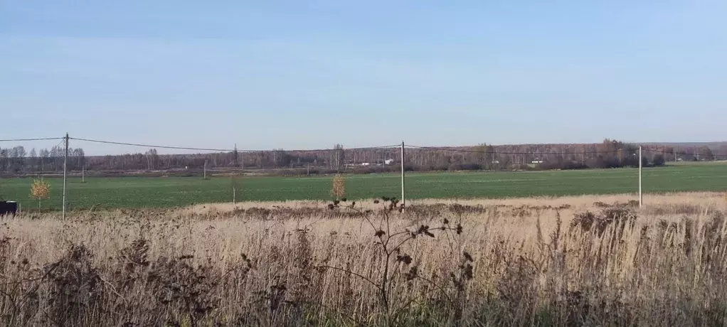 Участок в Ярославская область, Ярославский муниципальный округ, Новые ... - Фото 1
