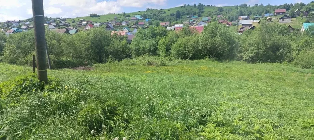 Участок в Алтай, Майминский район, пос. Алферово ул. Выходцева (10.0 ... - Фото 0