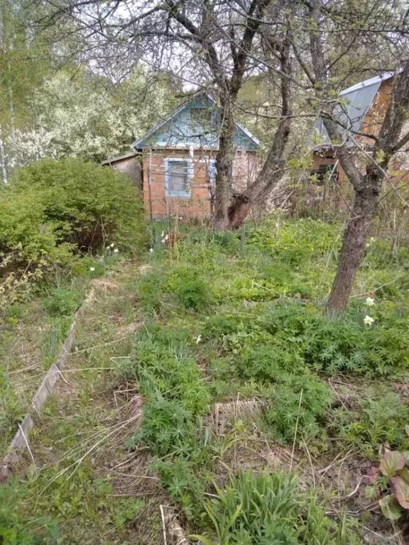 Дом в Нижегородская область, Нижний Новгород Керамик СНТ, 30 (42 м) - Фото 0