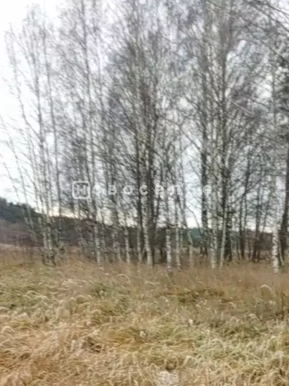 Участок в Рязанская область, Клепиковский муниципальный округ, д. ... - Фото 2