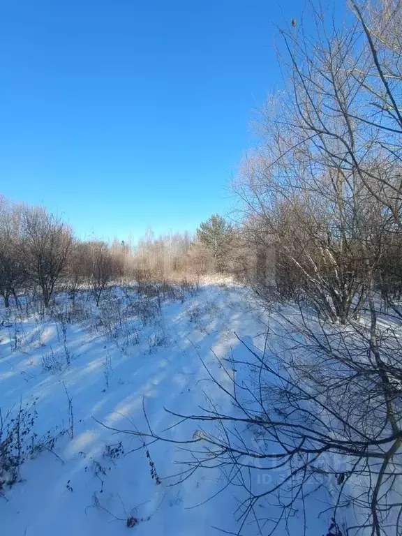 Участок в Амурская область, Благовещенск  (6.0 сот.) - Фото 1