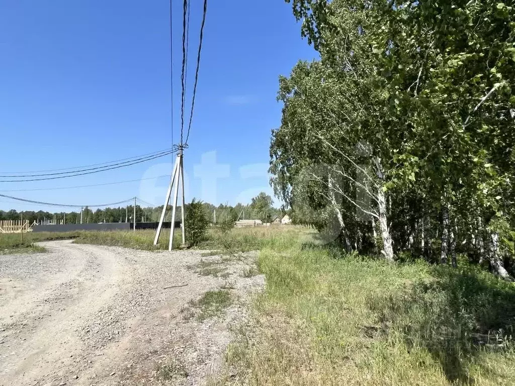 Участок в Новосибирская область, Новосибирский район, Морской ... - Фото 1