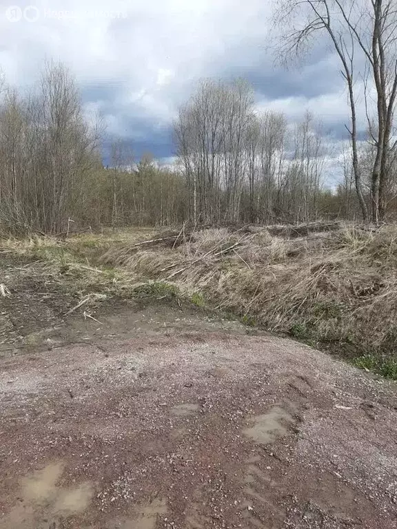 Участок в Республика Карелия, Сортавальский муниципальный округ, ... - Фото 1