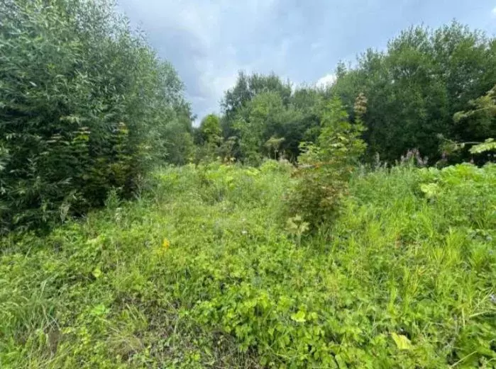 Участок в Московская область, Коломна городской округ, д. Каблучки  ... - Фото 1