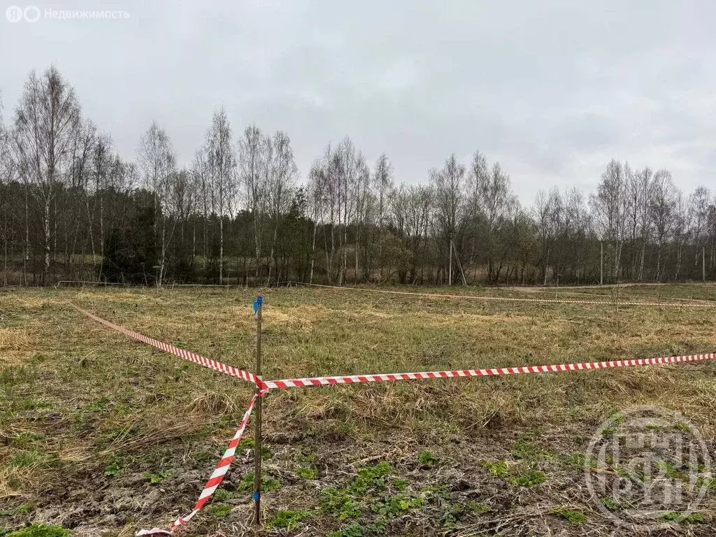 Участок в Скребловское сельское поселение, деревня Домкино, 14 (11 м) - Фото 0