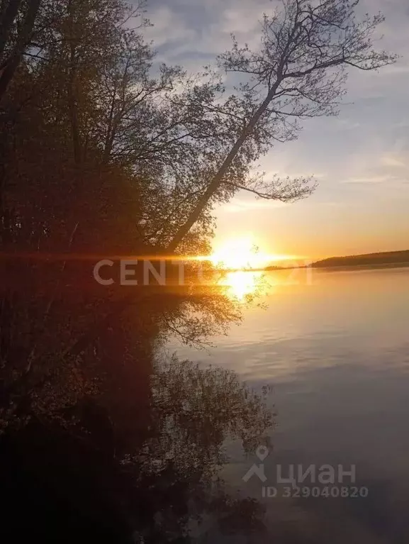 Участок в Ленинградская область, Приозерский район, Громовское с/пос, ... - Фото 1