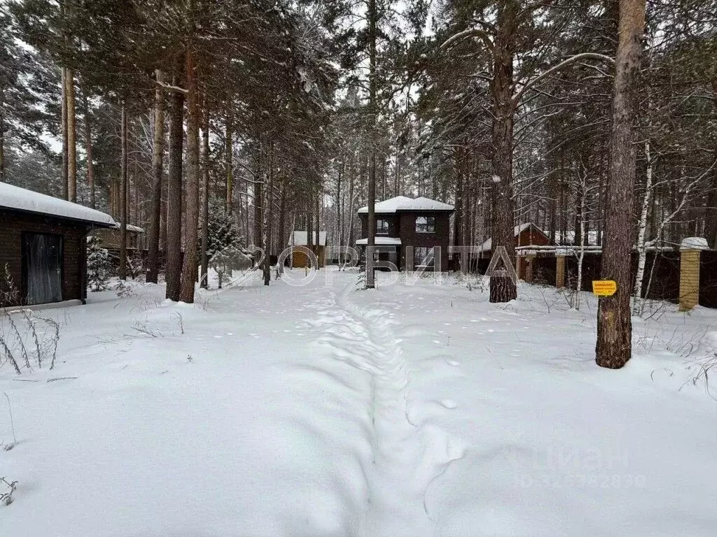 Дом в Тюменская область, Нижнетавдинский муниципальный округ, с. ... - Фото 2