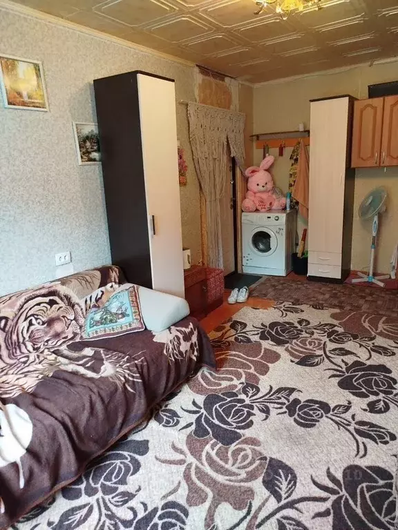 Комната Новосибирская область, Бердск Боровая ул., 102 - Фото 1