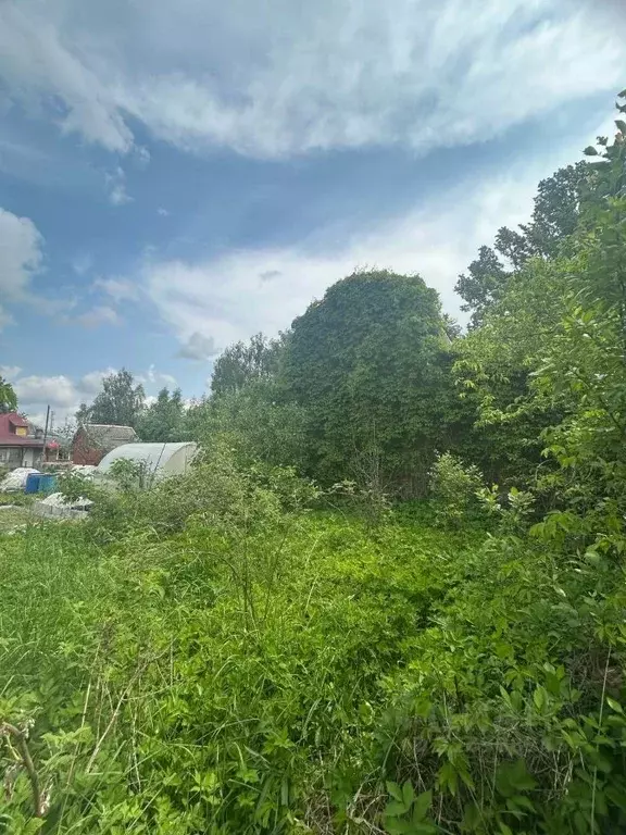 Участок в Московская область, Одинцовский городской округ, д. Ляхово  ... - Фото 2